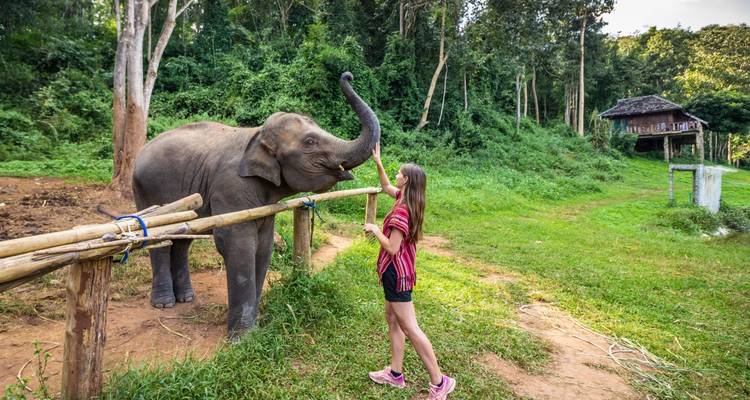 Excursion à Chiang Mai pour les éléphants, les chutes d'eau et l'aventure - privée et tout compris - ForeverVacation 9