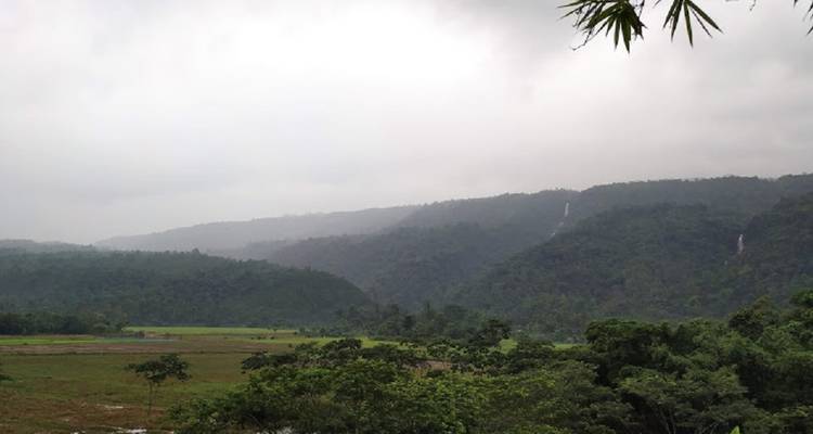 Découvrez la beauté de Sylhet et de Srimangal au Bangladesh - Modhu Tours Bangladesh 1