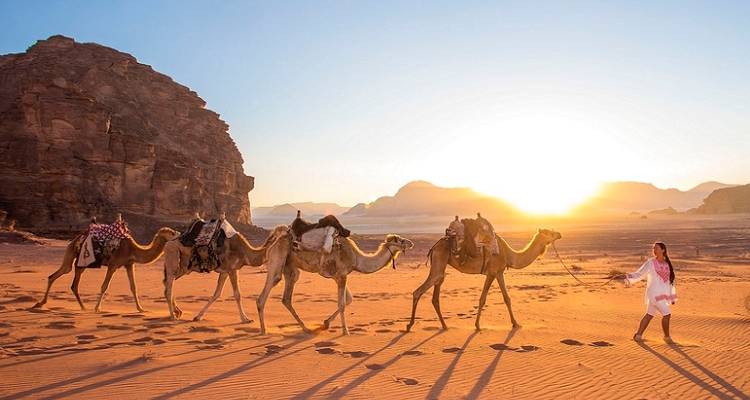 Caravane de chameaux en silhouette contre un coucher de soleil dans le désert.