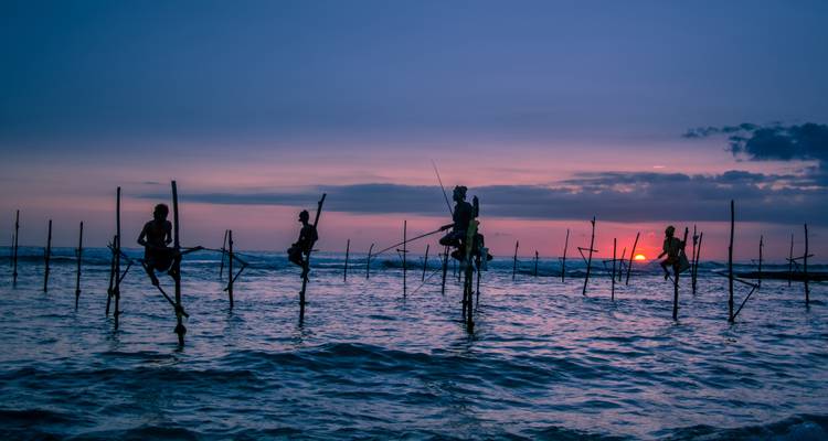 Escapade aventure au Sri Lanka - SkyHaven Tours 6