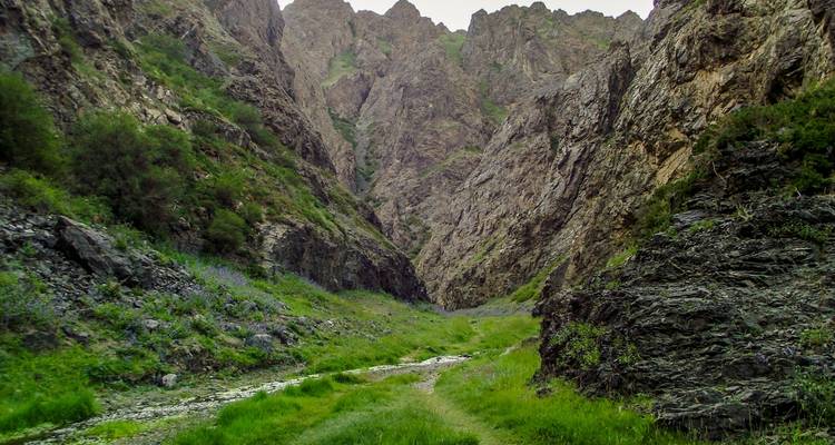 Lo más destacado del desierto de Gobi y excursión a los parques nacionales - View Mongolia Travel 1