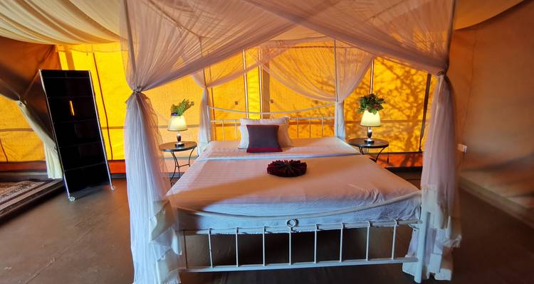 Simba Classic Adventure Safari **Approche durable du voyage - World Adventure Tours 6