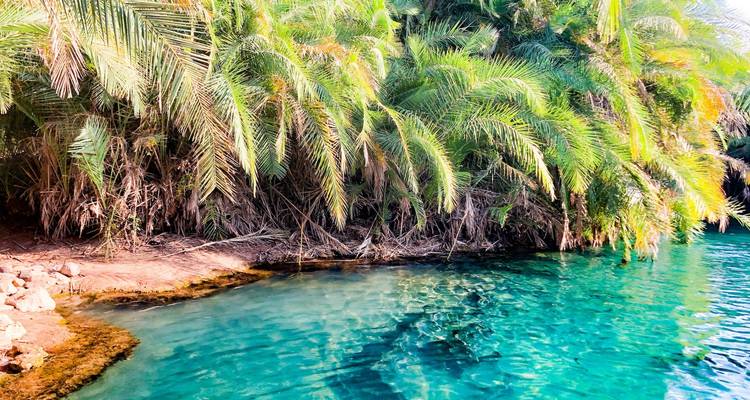 Simba Classic Adventure Safari **Approche durable du voyage - World Adventure Tours 9