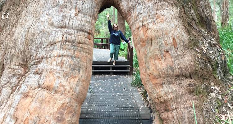 Lo mejor del Suroeste - WA NT TOURS 4