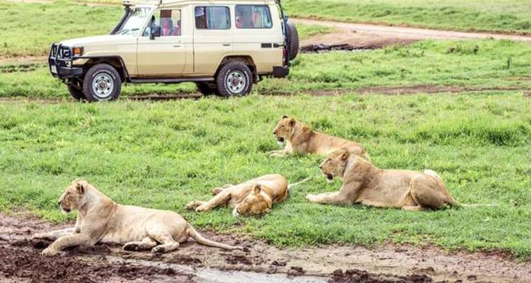 Kenya-8 days catch the big 5 - Click Expeditions 8