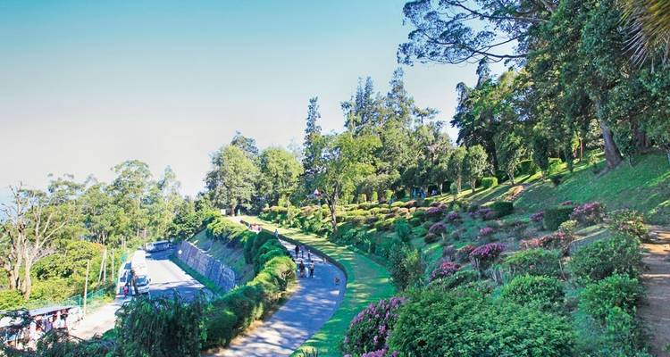 NATURE EXOTIQUE - Lets See Asia Pvt Ltd. 8