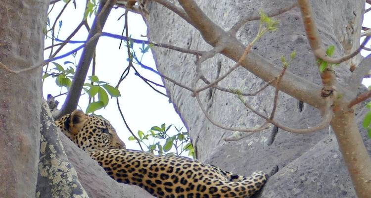 7 jours de safari inoubliable en Tanzanie - Nature Safari 6