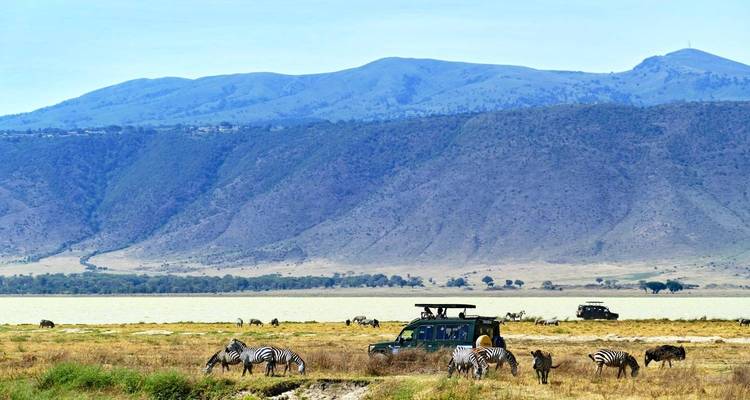 7 jours de safari inoubliable en Tanzanie - Nature Safari 7