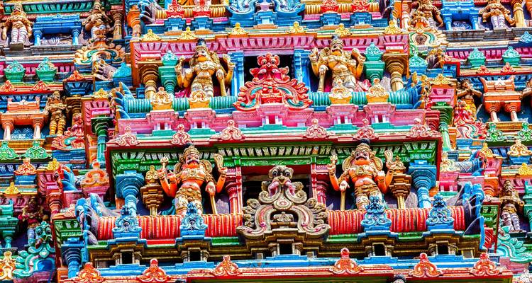 Inde du Sud : Backwaters, plantations de thé, temples et séjour à la plage avec guide et chauffeur privés - Wanderful Holidays LLC 3