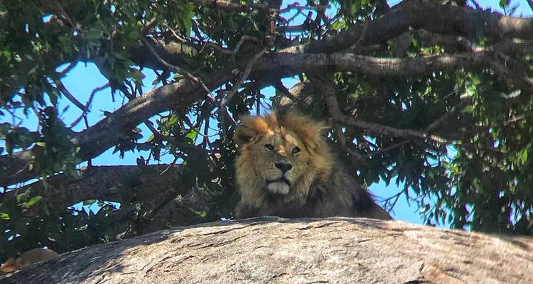 Circuit privé de 7 jours dans le nord et le sud - Gracepatt Ecotours Kenya 6
