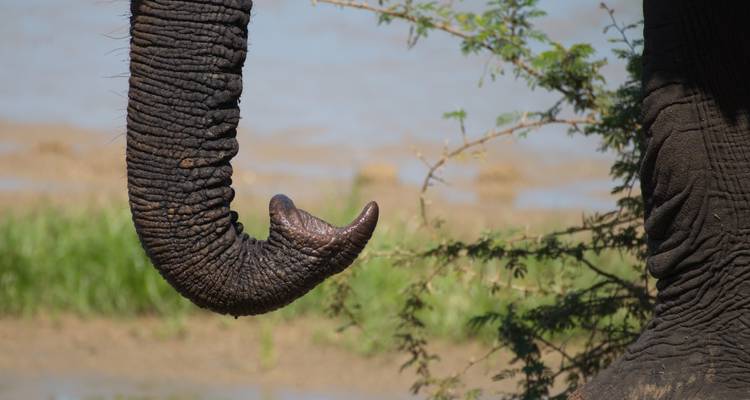 4 Day | Heritage Trail Mapungubwe NP to Kruger NP - Timeline Travel DMC 7