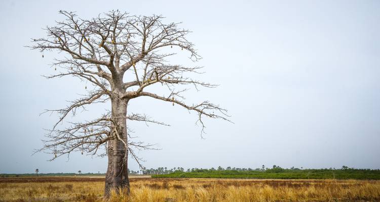 4 Day | Heritage Trail Mapungubwe NP to Kruger NP - Timeline Travel DMC 8
