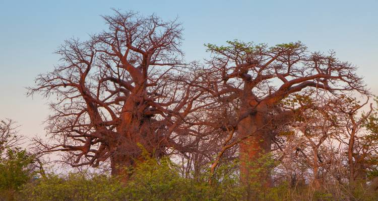 4 Day | Heritage Trail Mapungubwe NP to Kruger NP - Timeline Travel DMC 9