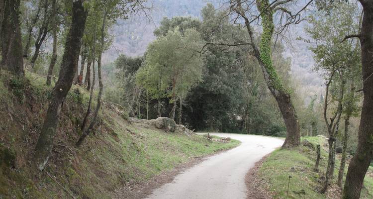 Cyclisme à Gérone et sur la côte catalane - Exodus Adventure Travels 7
