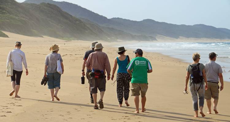 A group of people walking on a sandy beach.