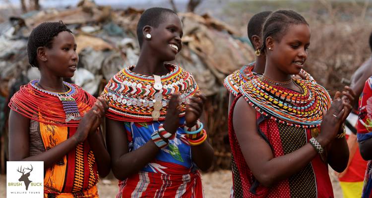 Safari de 7 jours au Kenya et en Tanzanie pour la Grande Migration - BrushBuck Wildlife Tours 7