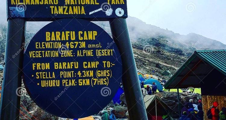 8 días de escalada por la Ruta de Marangu + 2 noches de hotel - kilimanjaro habitas 1