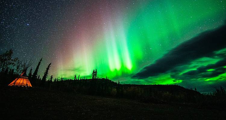 Best Value Aurora Viewing | Observation de la faune et de la flore du Yukon - Arctic Range Adventure 1