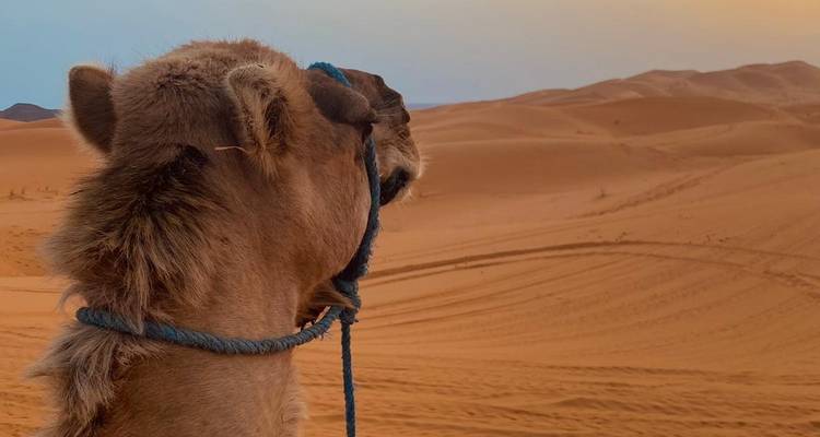 6 Days Private Morocco Tours From Casablanca - Morocco Explore Tours 6