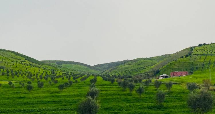 5 Days Desert Tour from Tangier to Marrakech - Morocco Explore Tours 3