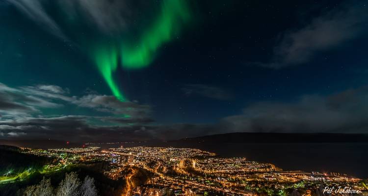Expérience arctique à Tromsø et dans les îles Lofoten - V.O.S – Vision of Scandinavia 7