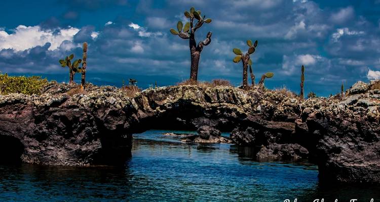 Safari de lujo de 7 días por las Galápagos - Rebecca Adventure Travel 2