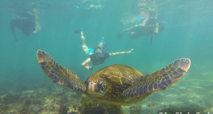 Safari de lujo de 7 días por las Galápagos - Rebecca Adventure Travel 9