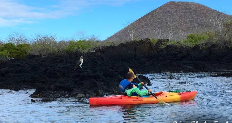 Safari de lujo de 7 días por las Galápagos - Rebecca Adventure Travel 4