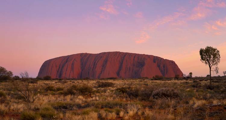 3 Días Uluru Red Centre Kings Canyon (Acampada) - Desde Ayers Rock - Autopia Tours 9