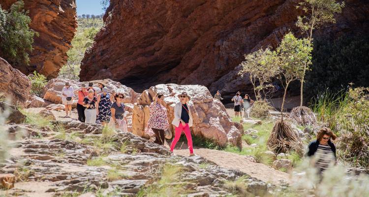 Circuit dans la chaîne des West MacDonnell Ranges (Tjoritja) et dans le gouffre de Standley - Autopia Tours 6