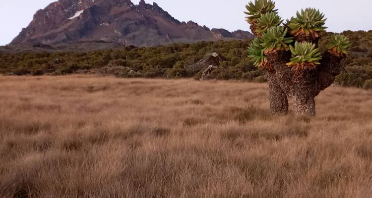 5 Days Kilimanjaro Trekking Marangu Route - Spirit of Kilimanjaro 2