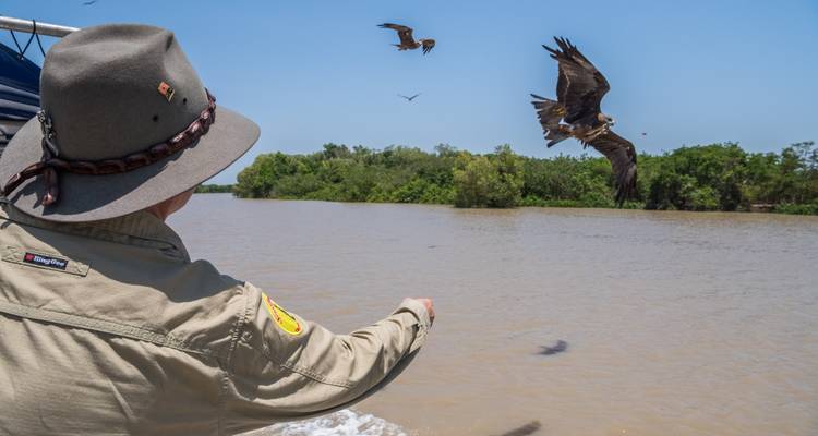 Half Day Jumping Crocodile Cruise from Darwin - Autopia Tours 4