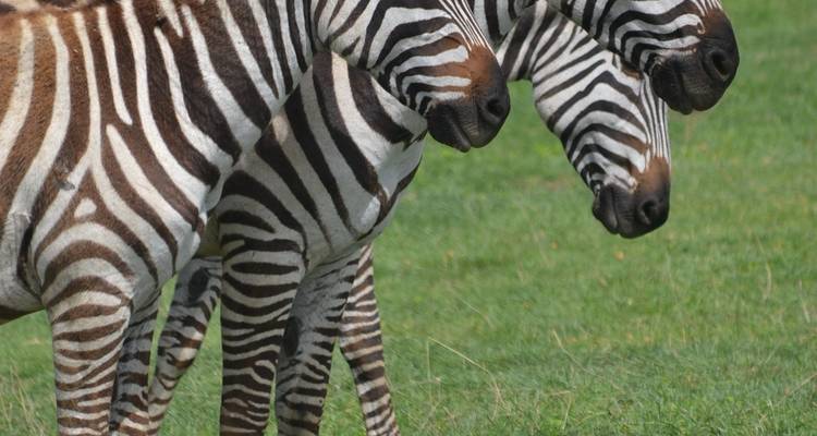 Hiking Through South Africa & Eswatini - Local Safaris 9
