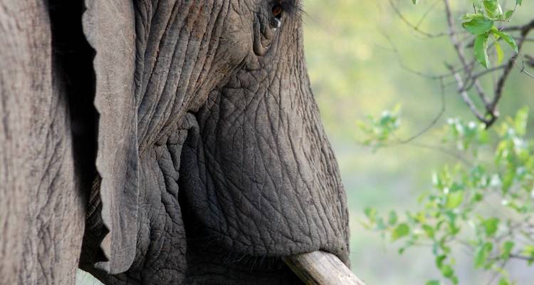 El mejor safari de 3 días por el Serengeti desde Mwanza a un precio razonable - Africa Natural Tours 3