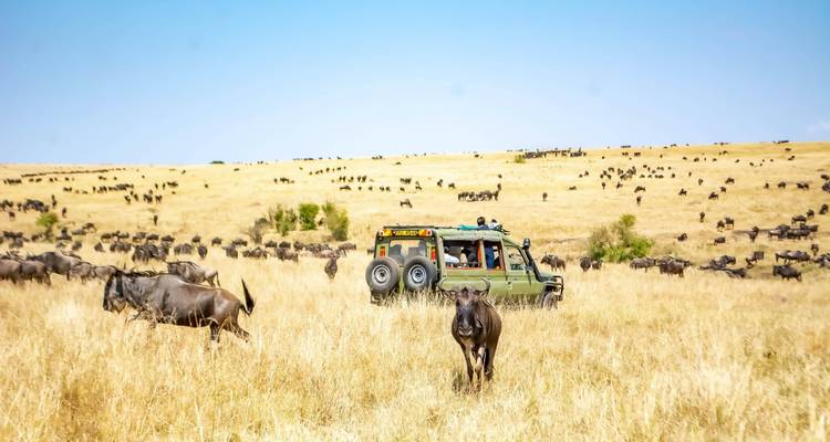 El mejor safari de 3 días por el Serengeti desde Mwanza a un precio razonable - Africa Natural Tours 6