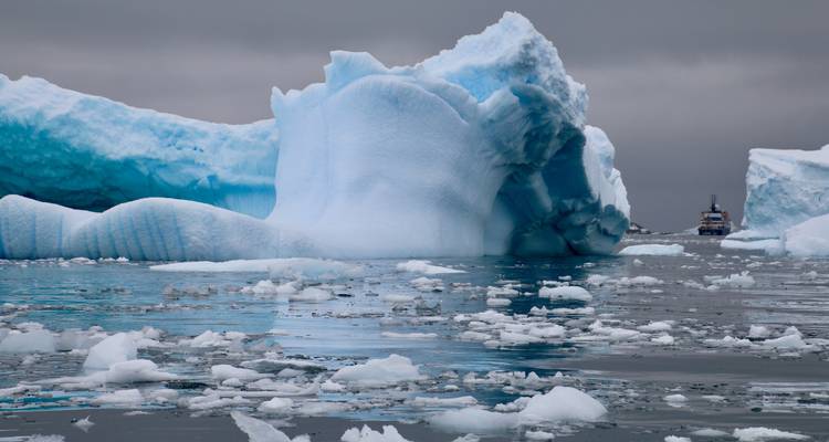 La experiencia Antártica Ultimate - En Busca del círculo, 12 días - Albatros Expeditions 7