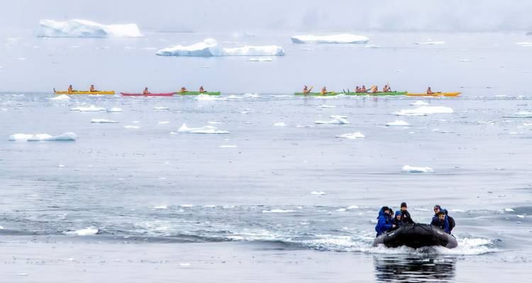 La experiencia Antártica Ultimate - En Busca del círculo, 12 días - Albatros Expeditions 9