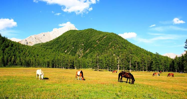 Randonnée à cheval dans la nature sauvage de Mongolie - Bumantour LLC 7
