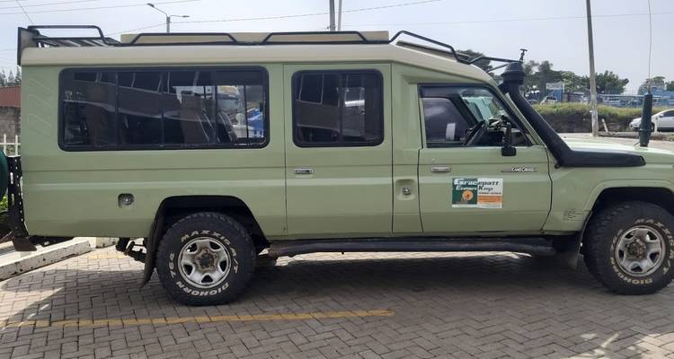 Safari económico de 6 días por Amboseli, lago Nakuru y Masai Mara - Gracepatt Ecotours Kenya 2