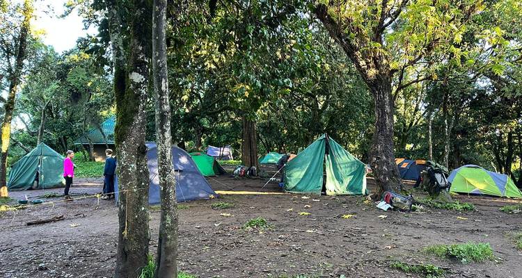 Campement avec tentes et personnes entre les arbres dans la région du Kilimandjaro.