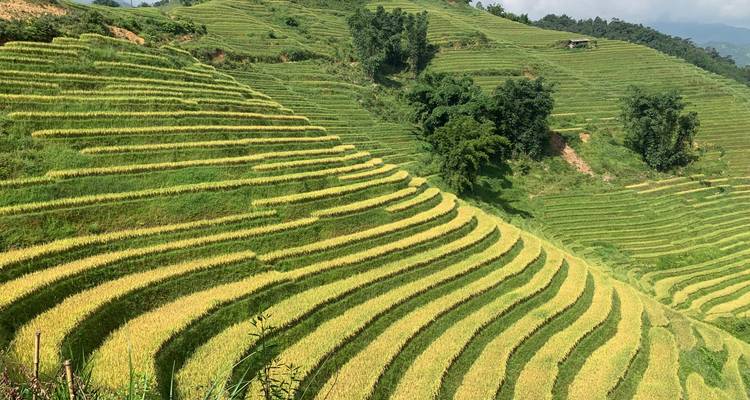 Esencia del Norte de Vietnam: Hanói, Ninh Binh, Halong y Sapa (4D3N) - Best Vietnam Tours 9