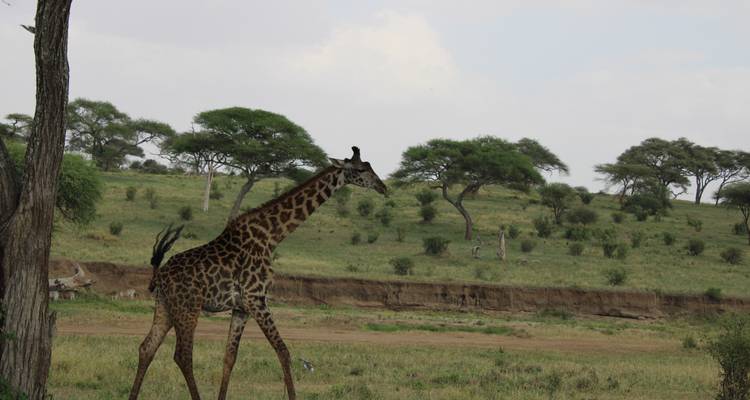 Expérience naturelle - 4 jours - Mountain Warriors Tour and Safaris 1