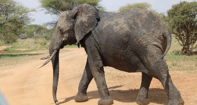 Expérience naturelle - 4 jours - Mountain Warriors Tour and Safaris 2
