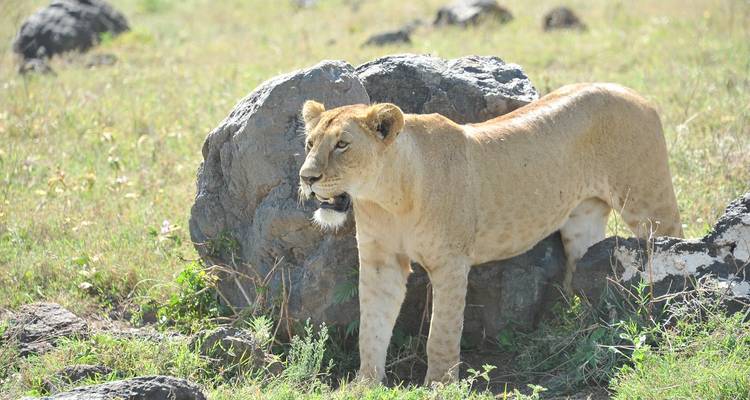 Expérience naturelle - 4 jours - Mountain Warriors Tour and Safaris 10