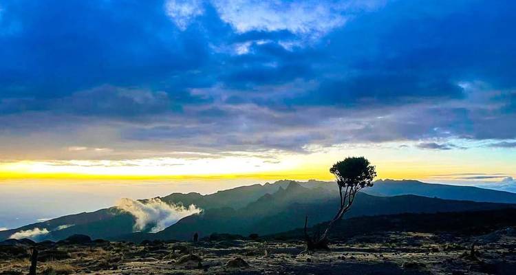L'inoubliable Machame - 7 jours - Mountain Warriors Tour and Safaris 4