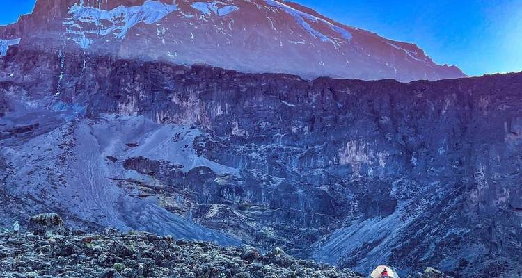 Une expérience unique à Lemosho - 8 jours - Mountain Warriors Tour and Safaris 2