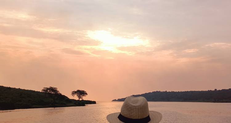 Gorille dans le brouillard - Holiday Destination Safaris 1