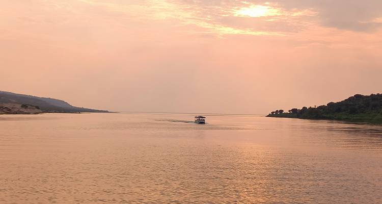 Gorille dans le brouillard - Holiday Destination Safaris 2