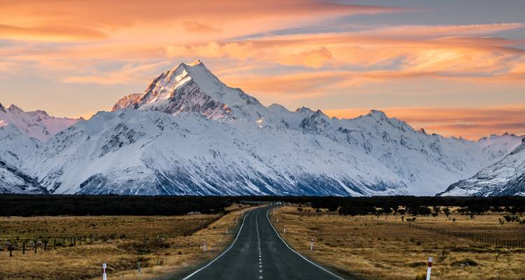 Active New Zealand - Contiki 2