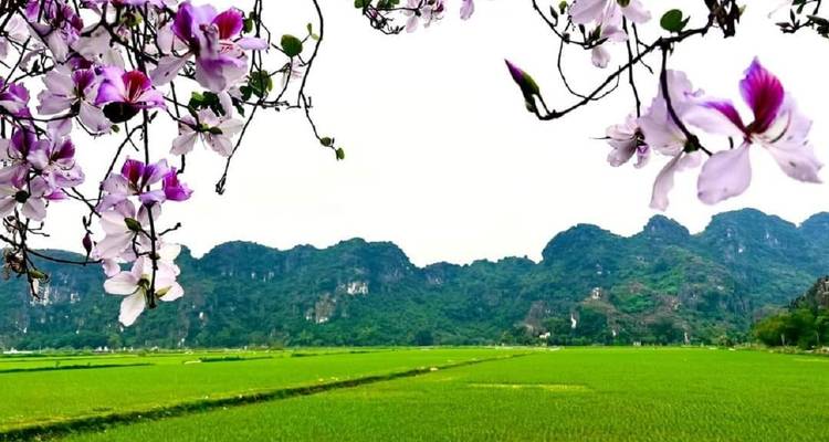 Circuit de 5 jours Hanoi - Ninh Binh - Baie d'Halong - Ha Long Bay Lux Cruises Tours 9